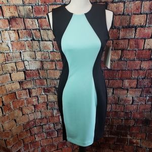 Boston Proper Black & Teal Bodycon Dress